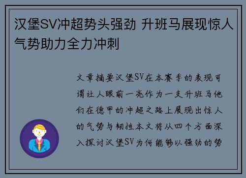 汉堡SV冲超势头强劲 升班马展现惊人气势助力全力冲刺