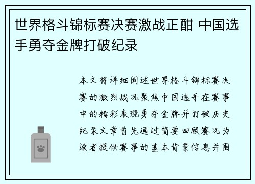 世界格斗锦标赛决赛激战正酣 中国选手勇夺金牌打破纪录